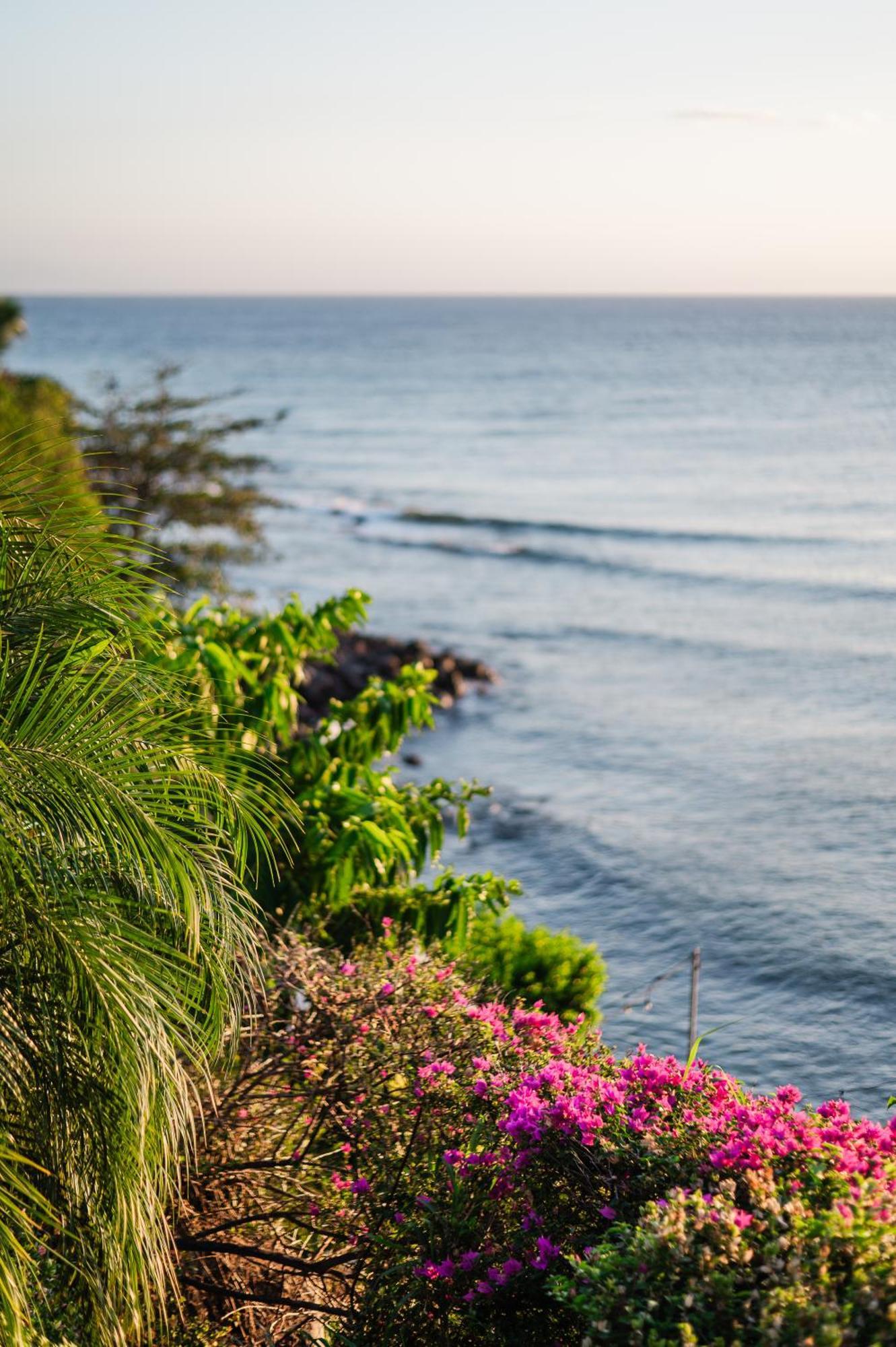 Sunset Reef St. Kitts Ξενοδοχείο Ottleyʼs Village Εξωτερικό φωτογραφία