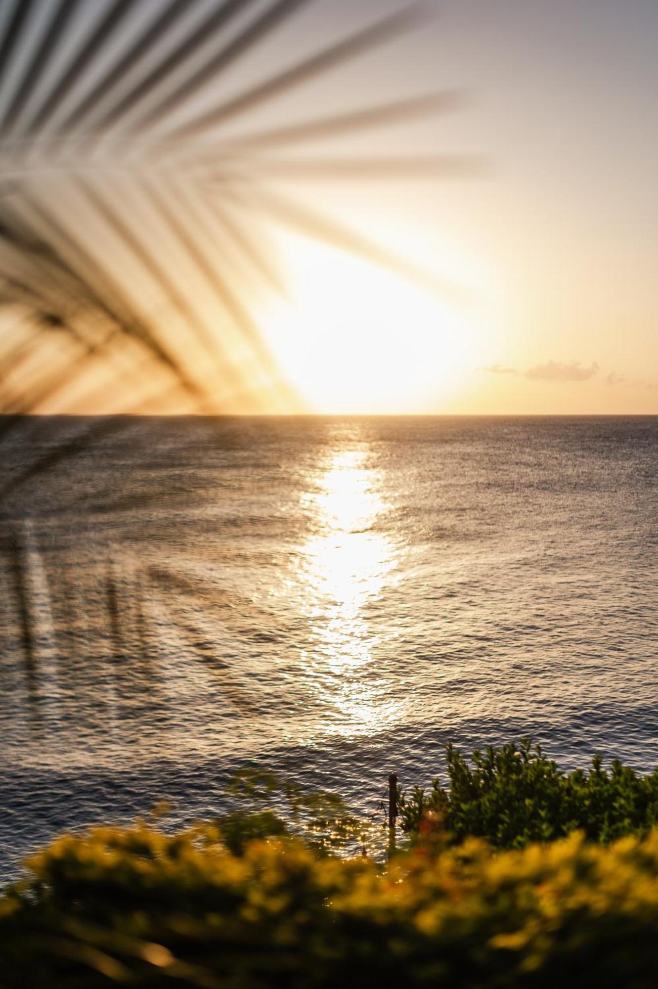 Sunset Reef St. Kitts Ξενοδοχείο Ottleyʼs Village Εξωτερικό φωτογραφία