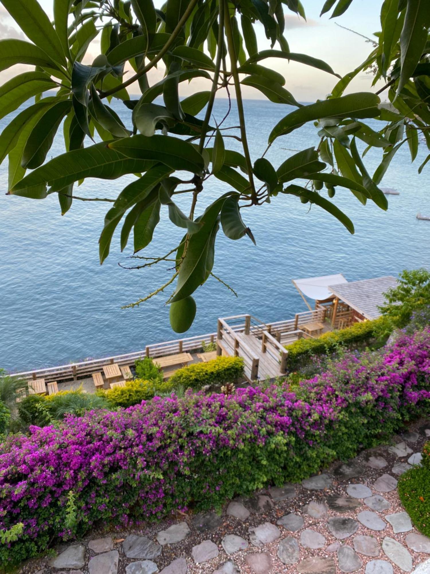 Sunset Reef St. Kitts Ξενοδοχείο Ottleyʼs Village Εξωτερικό φωτογραφία