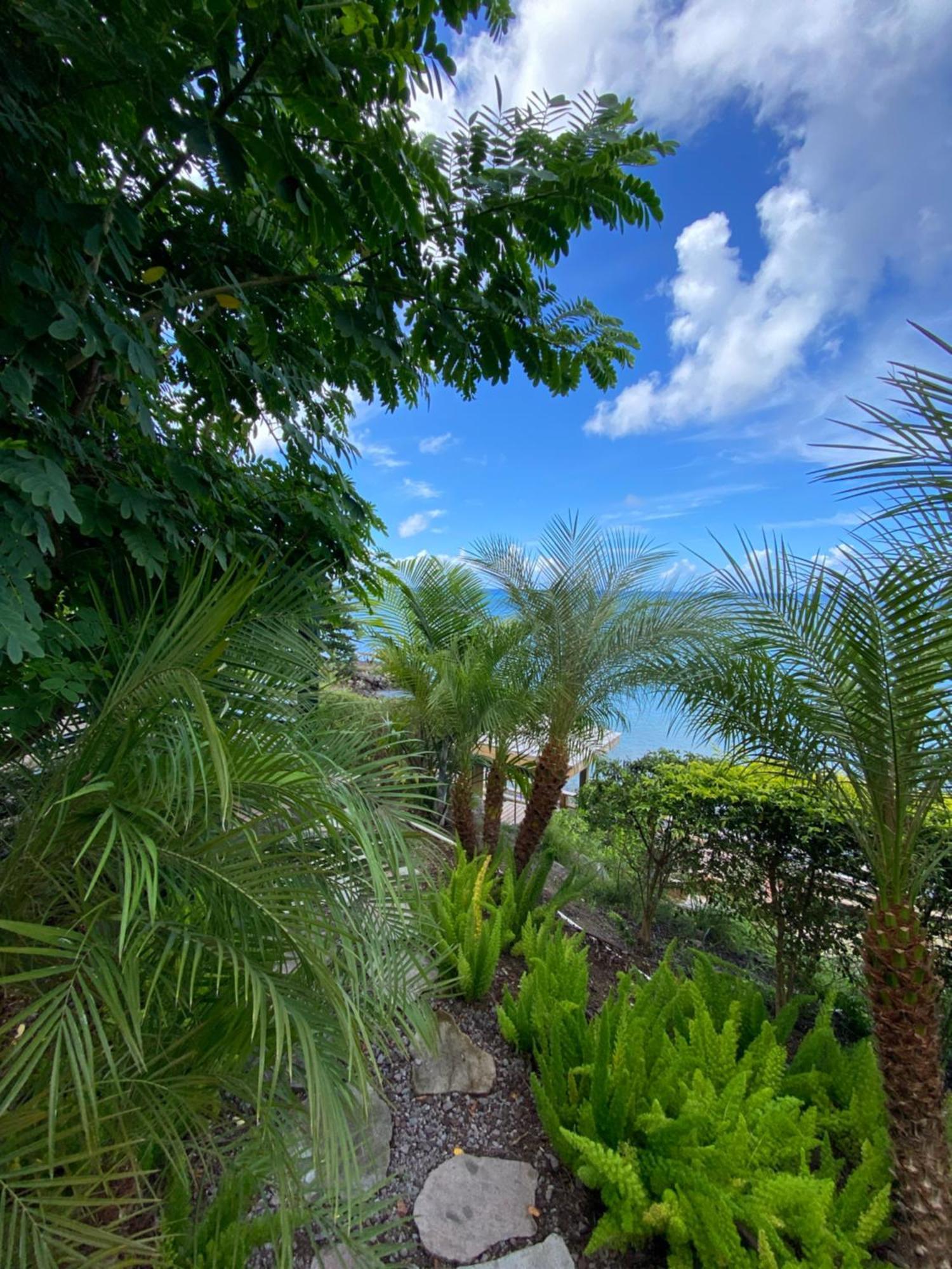 Sunset Reef St. Kitts Ξενοδοχείο Ottleyʼs Village Εξωτερικό φωτογραφία